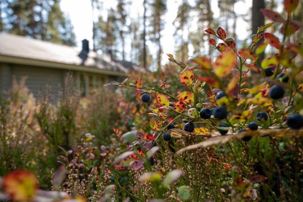 Vila Saimaan Kultaranta Puumala Exteriér fotografie