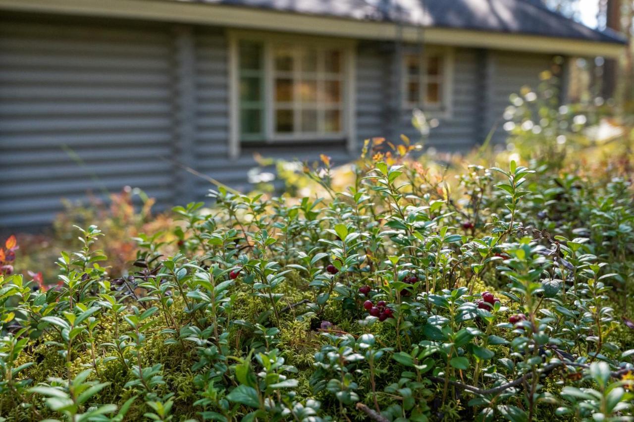 Vila Saimaan Kultaranta Puumala Exteriér fotografie